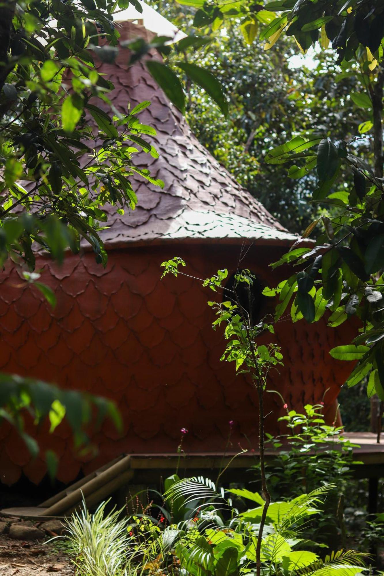 Taibara Refugio Natural Luxury tent San Carlos